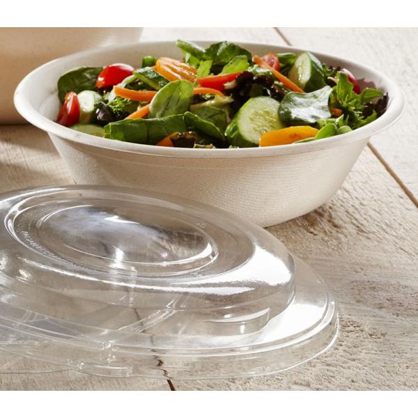 120 Degree Oil Resistant Biodegradable Sugarcane Bagasse Plates Takeaway Bowl With Lid