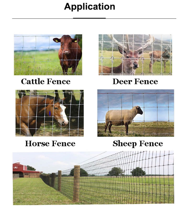 Heavy Duty 2.5mm Galvanized 1.5m High Deer Fence for Farm and Wildlife Protection