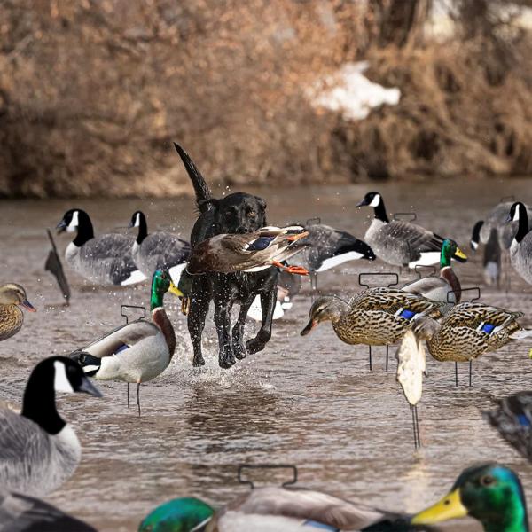 1200g Lifelike Hunting Decoys PP Board Silhouette Decoys Recyclable Anti Scratch