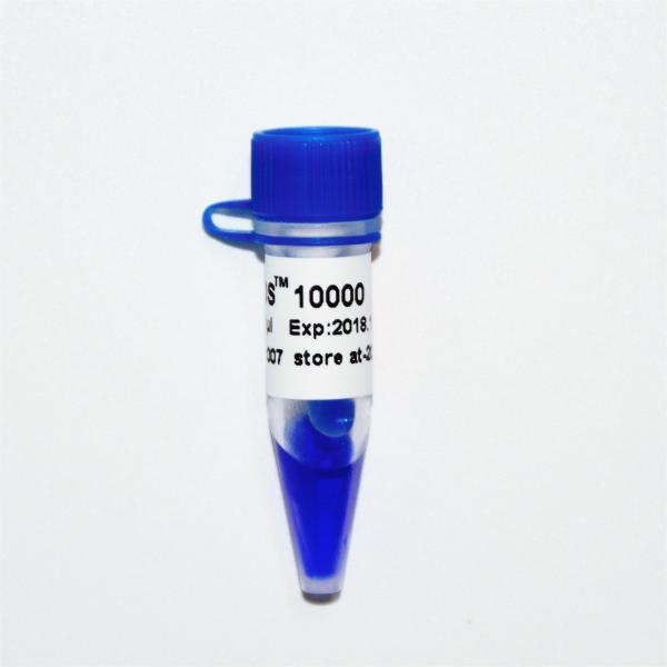 Escada M1221 do marcador do ADN DS10000 (50μg) /M1222 (5×50μg)