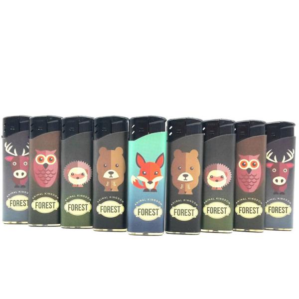 Прозрачный одноразовый сигаретный зажигалка из пластика