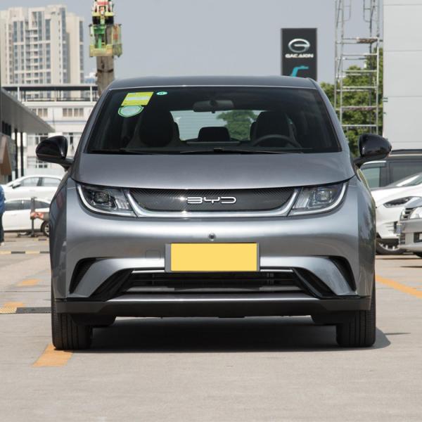 AWD BYD Dolphins EV All Electric Vehicle PHEV Custom
