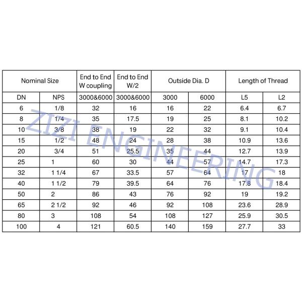 Duplex Steel 2205 Forged Coupling UNS 32205 Socket Weld Threaded Fittings
