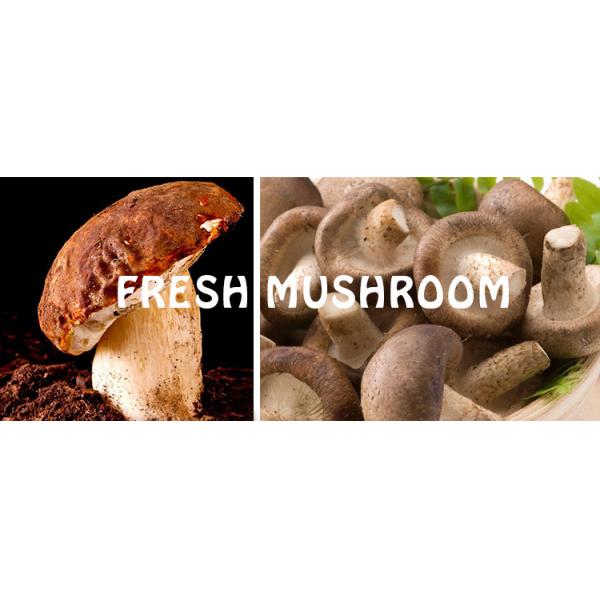Stainless Steel 304 Vacuum Mushroom Frying Equipment Continuously Oil Filtration