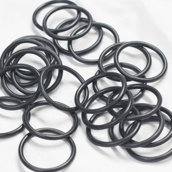 AS568 PG Standard Size FFKM O Ring Rubber Polysilicon Cleaning Equipment Customizable