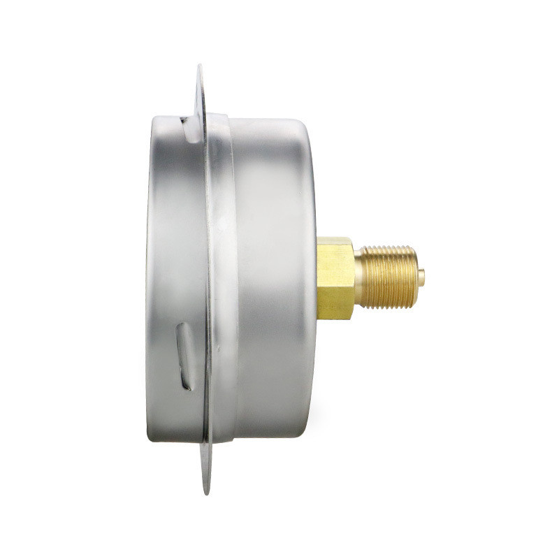 YE100ZTBF 16KPa All 304SS Stainless Steel Pressure Gauges for Micropressure Measurement