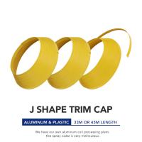 Yellow Charms Galvanized Led Acrylic Letter Sign Trim Cap By Enseigne Logo