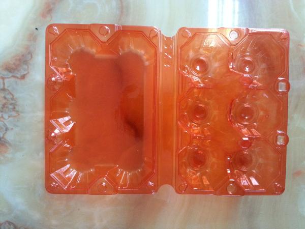 egg trays with 6 holes