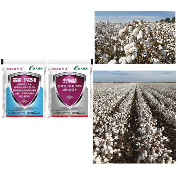 Agricultural Natural Vegetable Insecticides For Aphids And Thrips SlNPV