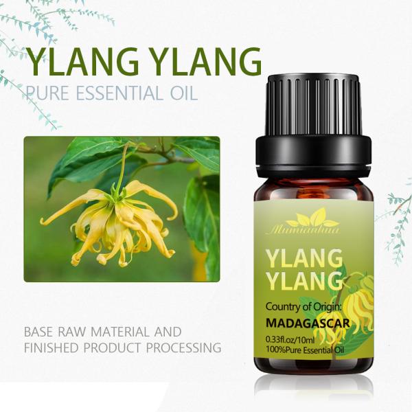 Os óleos essenciais do corpo amarelo perfumam a pele pura do óleo essencial do USDA 25kg Ylang Ylang