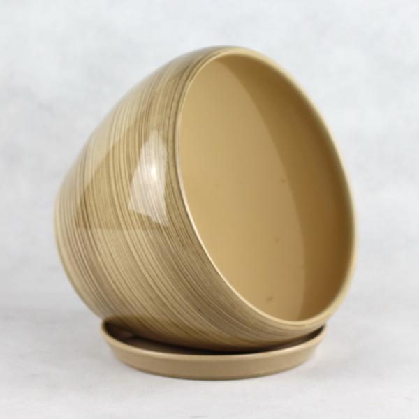 Stylish And Functional Ceramic Pots Perfect For Any Plant And Any Space