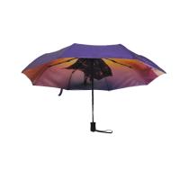 Parapluie télescopique ouvert automatique de double couche de 3 fois