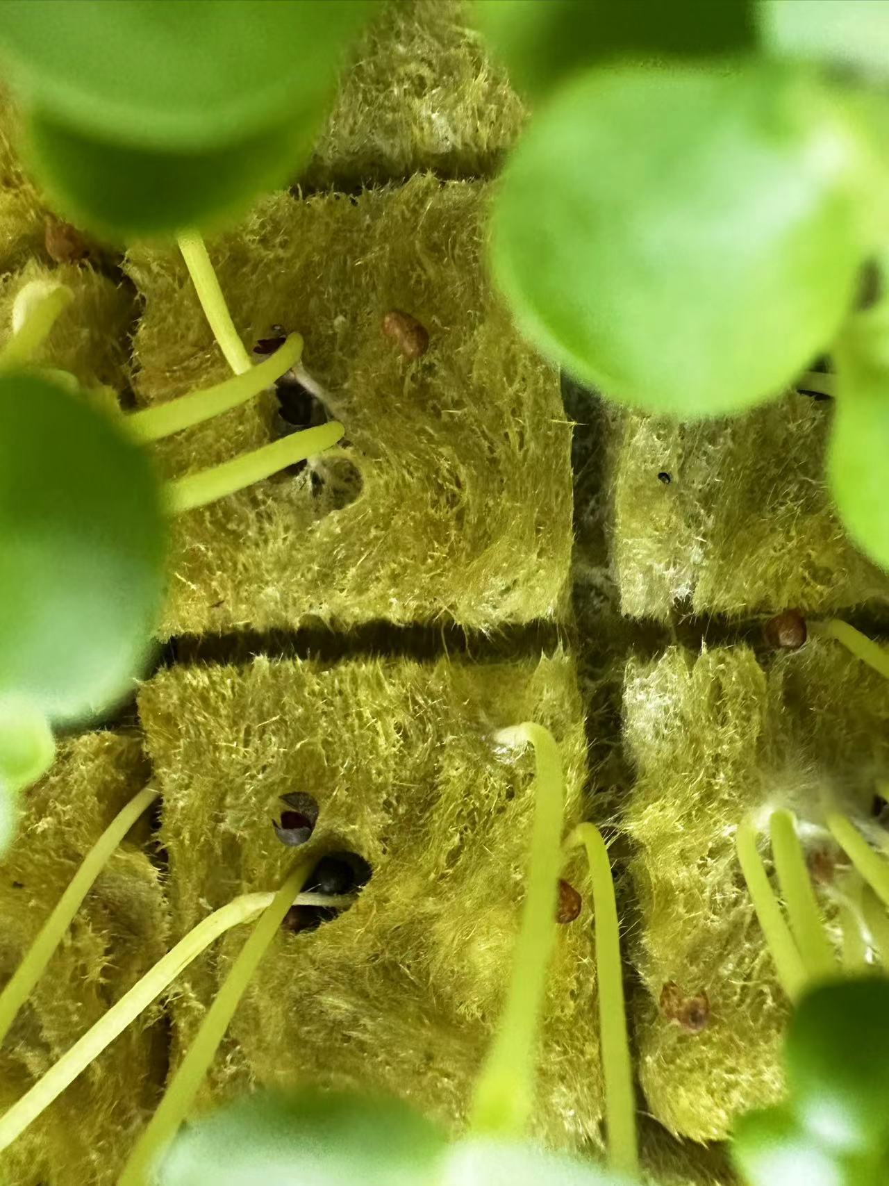Eco-Friendly Organic Rock Wool Board - Formaldehyde-Free Soundproofing Material for Home Renovation
