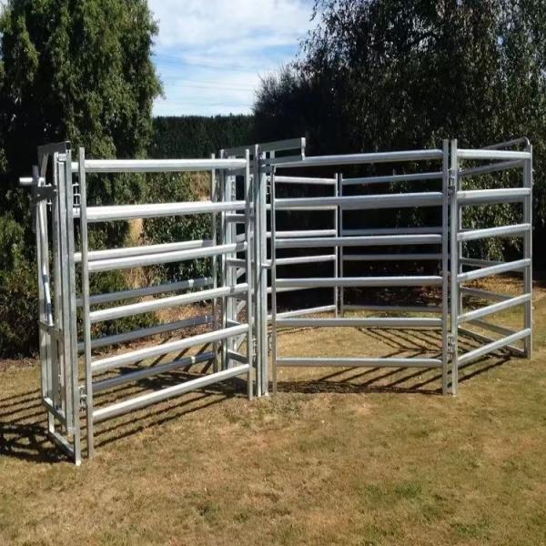 Panneau de clôture de ferme pour bovins portable en tuyau galvanisé de 10 pieds
