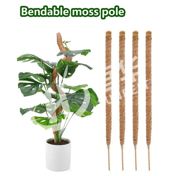 15.7 Inches  Natural Colored Plant Poles Coconut Coir poles Moss Pole for Plants Climbing and Supporting
