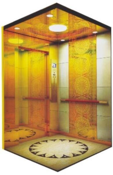 Machine Room Less Automatic Passenger Elevator With Fuji Control System