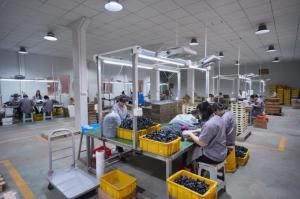 Hangzhou Kefeng Electronics Co., LTD