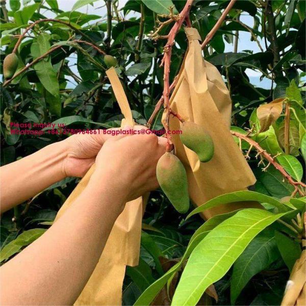 Custom Fruit Protection Bags Double-Layer Thickened Paper Bags Universal For Pear & Apple Trees Factory Wholesale Protection Bags Sunproof, Insect & Disease Resistant