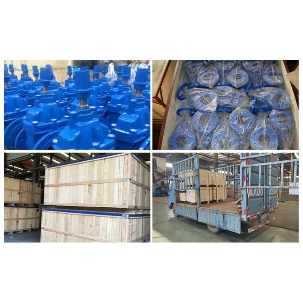 ANSI 150LB PN16 Cast Iron Gate Valve Ductile Iron Resilient Seat For Water Treatment