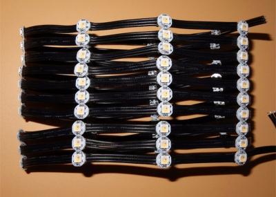 fio de 5cm que espaça a luz do pixel da lâmpada do pixel do diodo emissor de luz/SK6812 RGBW Dmx com dissipador de calor