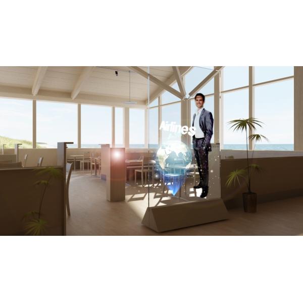 Self Adhesive 170° 100um Holographic Rear Projection Film