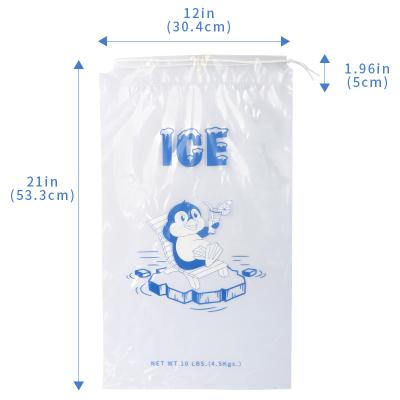 Recyclable Drawstring Ice Pack Bags For Food Storage Customizable
