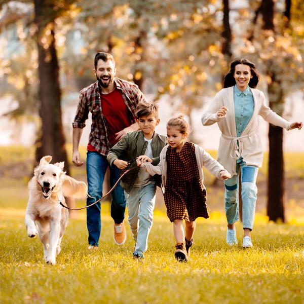 XS-XXL Nylon Pet Harness Dog Chest Harness No Pull High Visibility Dog Harness