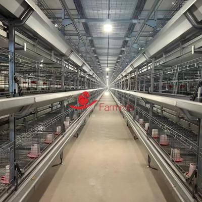Real-Time Observation Poultry Battery Cage System with Easy Operation