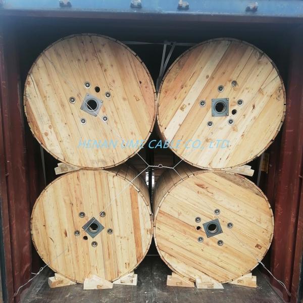 Fire Alarm Cable Fpl/Fplp/Fplr Cable with Bare and Third Party Inspection Accredited