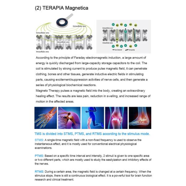 Máquina de congelación de grasa corporal no quirúrgica de enfriamiento por aire Equipo de contorno corporal