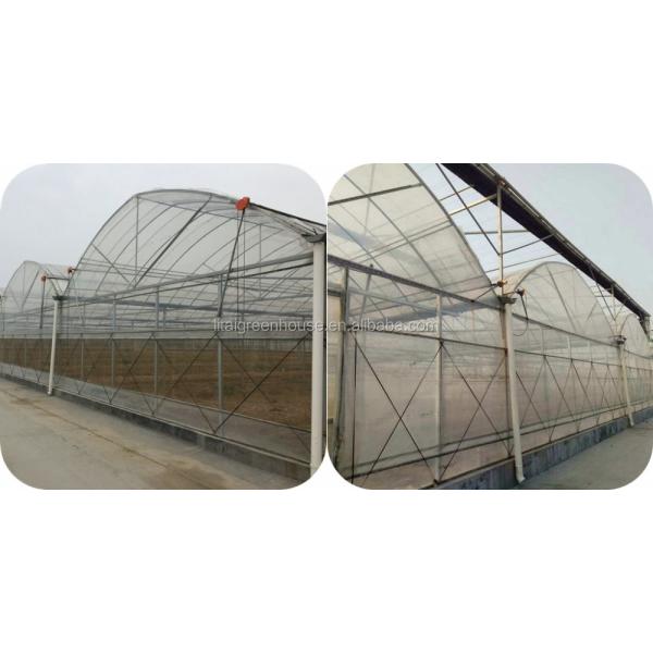 Большая прозрачная пластиковая пленка с многопролетным тепличным палатком для выращивания прозрачная и прочная