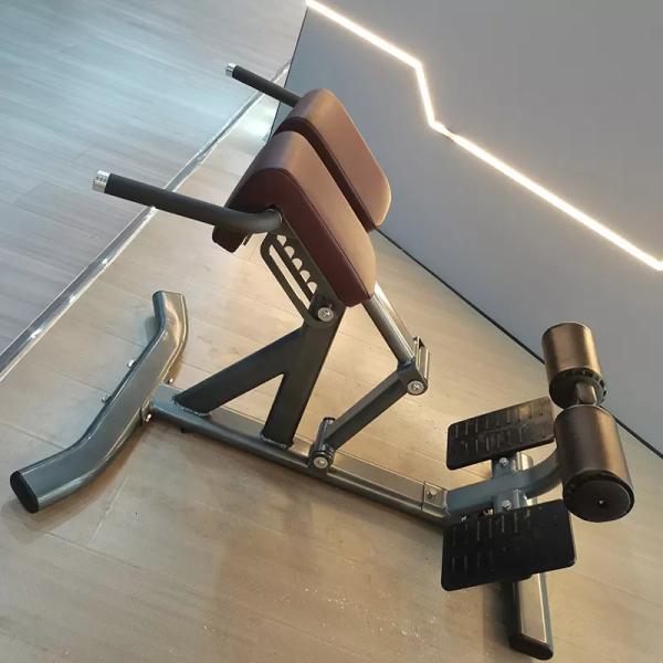 Salle de sport 45 degrés machine d'extension du dos chaise romaine banc de gym à vendre