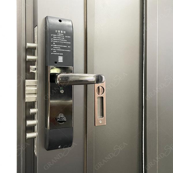 France Style  Advanced Stainless Steel Door Good Quality Superior a Class Locksystem Israel Security Door