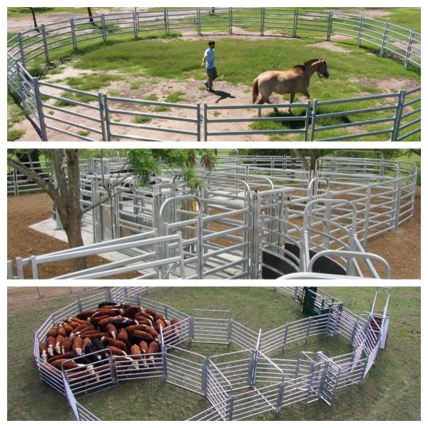Оптоваяа цена 1.6M гальванизированная лошадь поголовья скотин сваренная панелями овцы ограждают панели для фермы