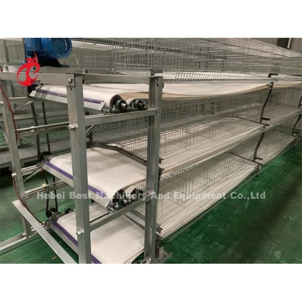 Modern H Type Poultry Automatic Chicken Cage Equipment 20 Years Lifespan Ada