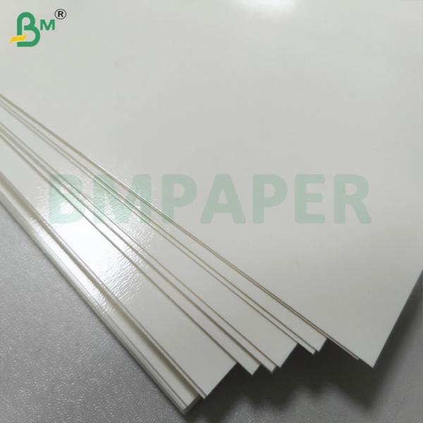 PET Coating Food Safe Container Paper Temperature Resistant For Food Reheating