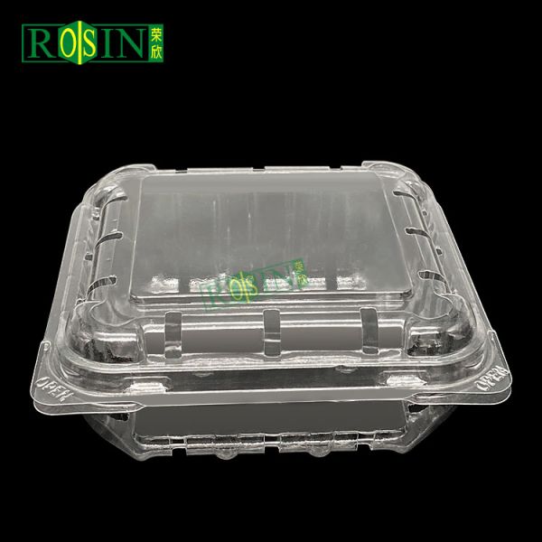 Rectangle Clear PET Disposable Clamshell Food Container Plastic Takeaway Box with Lid for Fruit
