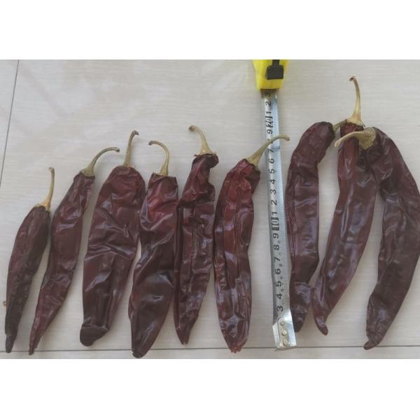New Crop 220 ASTA Paprika Sweet Red Pepper Pungent Guajillo Chili Peppers 12-18 Cm