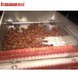 Turnkey Project Dates Processing Machine Date Syrup Production Lines 500kg/H To
