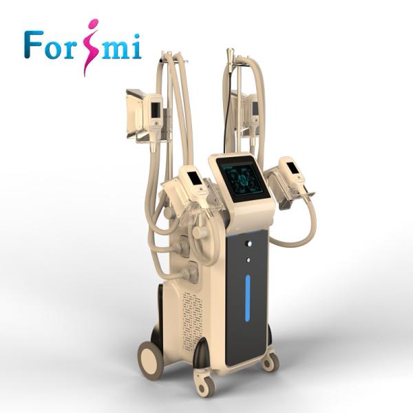 Warranty 2 years CE approved hot selling safe fat freezing 4 handles cryolipolysis machine