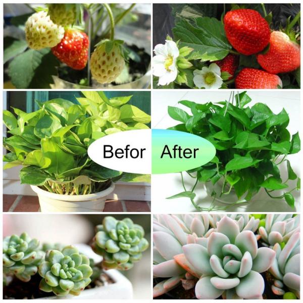 Double Head 10W led plant grow lights  , 85 - 265V led greenhouse lights