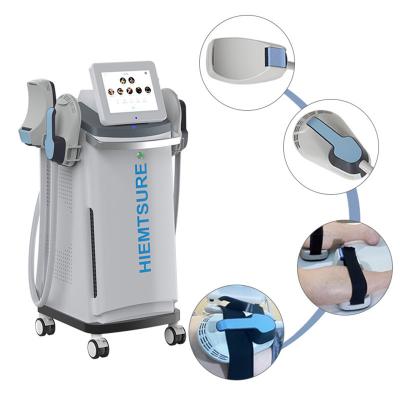 Dual Wave Professional Body Sculpting Machine , Beauty Slimming Machine Weight Loss