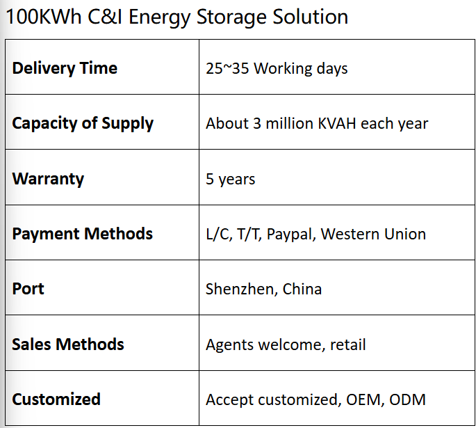 30kW All-in-One LiFePO4 Energy Storage Cabinet | C&I Solar Battery System