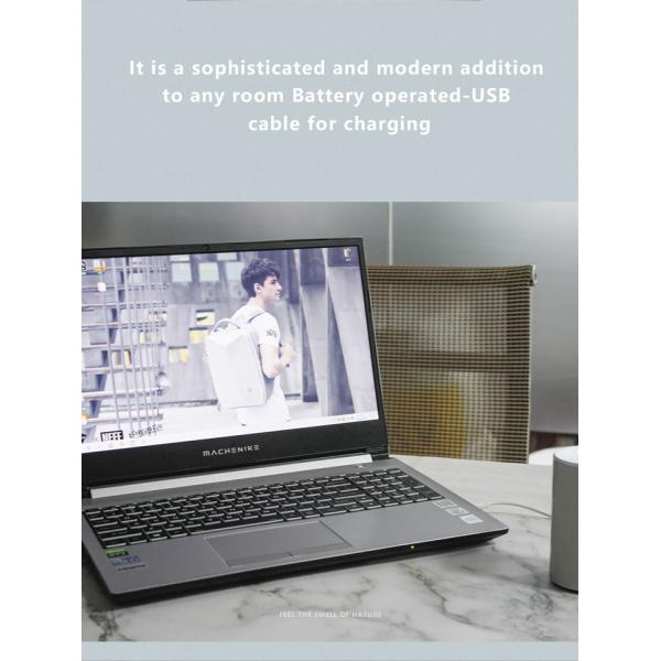 HOMEFISH ABS PP Электрический диффузор ароматизации Автомобильный диффузор ароматизации 2000 мАч