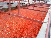 Linha de produção fresca de alta capacidade do puré do fruto do tomate do produto comestível de 6.5t/H