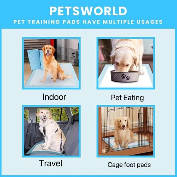 Sustainable and Leak-Proof Disposable Dog Pee Pads Fast Drying Pee Mats for Everyday