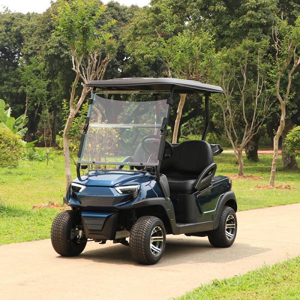 Affordable 2 Seaters Electric Golf Cart With Lithium Battery