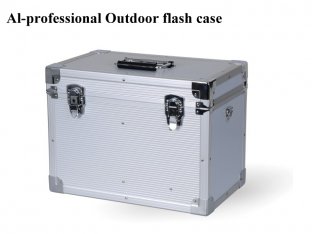 Освещение фотографии со вспышкой регулировки ПФ-600 Степлесс на открытом воздухе