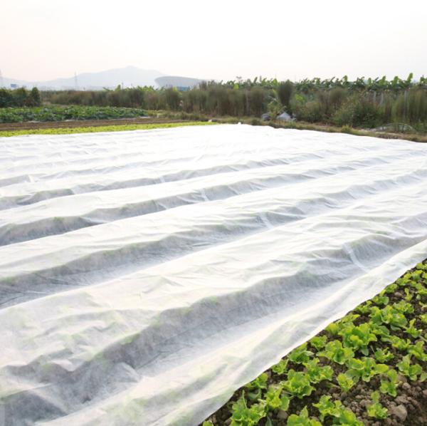 3.2m Agricultural Mulch Film