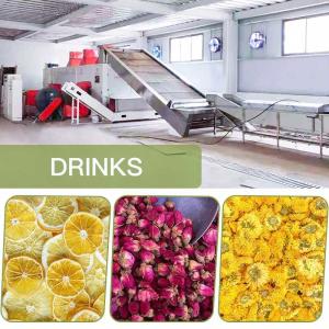 SGS Continuous Belt Dryer Machine Dehumidification